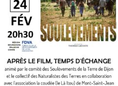 Mardi du Doc : « SOULÈVEMENTS »