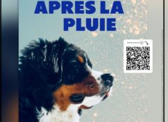 Son odeur après la pluie