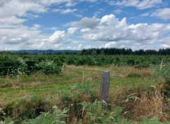 Entre prairies et forêts – la boucle des sapins de Noël –  ENS21