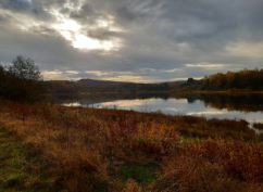 Balade nature « L’Étang Taureau, reflets du Morvan »