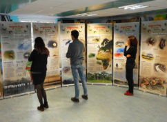 Exposition de photos animalières à Domecy-sur-Cure