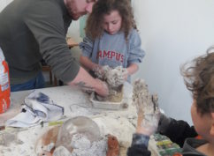 Atelier nature « Nichoirs à Hirondelles »