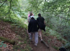 Balade nature  « La tourbière de Champgazon, un voyage dans le temps »
