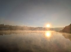 Balade nature « L’Étang Taureau, reflets du Morvan »