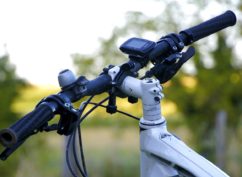 Rando des Jonquilles