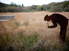 Balade nature « Fragile tourbière, les sources de l&rsquo;Yonne »