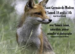 Sortie naturaliste – entre rivières et forêts