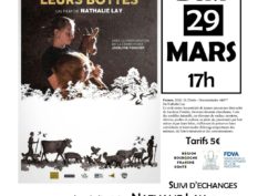 Projection doc « DROITS DANS LEURS BOTTES »