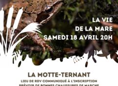 Sortie nature « La vie de la mare »