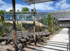 Les Rendez-vous de la Cité