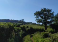 Le sentier de la Maison des Hommes et des Paysages