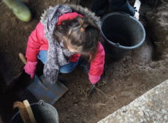 Atelier fouille archéologique pour les 7/12 ans