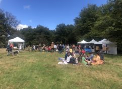 Fantastic Picnic à Bibracte