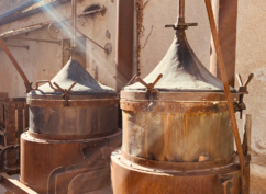 Visite et dégustation de spiritueux locaux