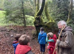 A l&rsquo;assaut du Moussu ! Visite de la forêt du Beuvray réservée aux enfants.