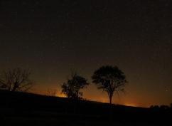 Au cœur de la nuit : la faune de Savilly