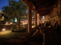 La Nuit Européenne des Musées Bis