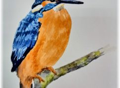 exposition Histoires naturelles