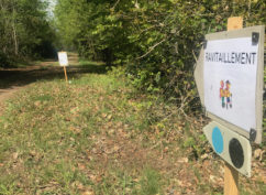 Randonnée « La Ronde des Châteaux »