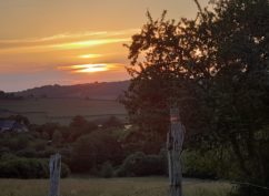 Balade nature symbolique LA NUIT