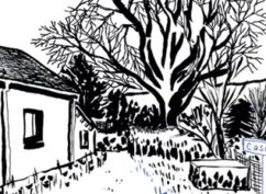 20e entretiens de Bibracte-Morvan