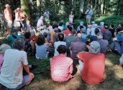 Concert promenade à Bibracte