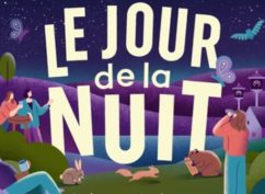 Le jour de la nuit à Bibracte