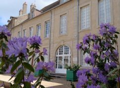 Les rendez-vous du dimanche