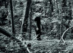 Steph Cop « Chemin de Bibracte acte I »