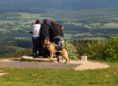 Toutou&rsquo;t&rsquo;à pied : une balade qui a du chien à Bibracte !