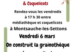 Les vendredis : ludo, biblio, bricolos, rigolos & Coquelicots