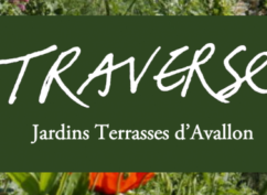 Visite Jardins terrasses – Plantes à soigner, plantes à croquer