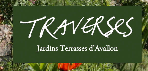 photo evenement