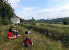 Balade nature symbolique LES ARBRES