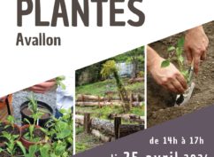Troc de plantes