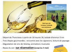 5ème Balade des Vins de Vézelay