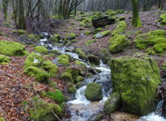 Ateliers et Rencontres