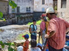 Balade « À la rencontre de la biodiversité au Parc des Chaumes » – Mercredi 22 juillet