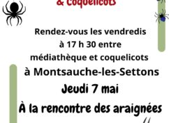 Les journées coquelicots