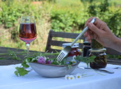 Stage « De l&rsquo;usage des plantes – Sauvages et savoureuses »