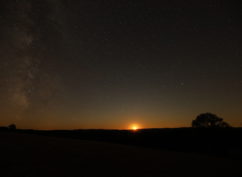 Au cœur de la nuit : la faune de Savilly – 13 août