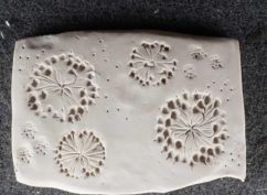 Empreintes végétales sur argile