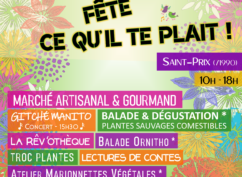 Fête ce qu&rsquo;il te plaît !