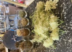 Atelier gin à Pâques