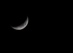 Spéciale Halloween – à la découverte des mal-aimés