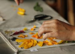 Atelier Impressions végétales