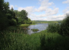 Balade « À la découverte du Domaine des Grands Prés » – Samedi 25 juillet