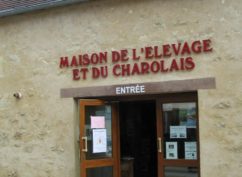 Visite couplée du Musée de l’Elevage et du Charolais et du Marché au Cadran