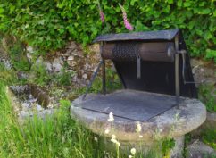 Balade commentée sur le sentier de la Maison des Hommes et des Paysages