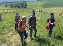 Balade des Vins de Vézelay 2026